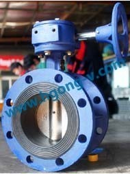 API/API cast iron flange butterlfy valve